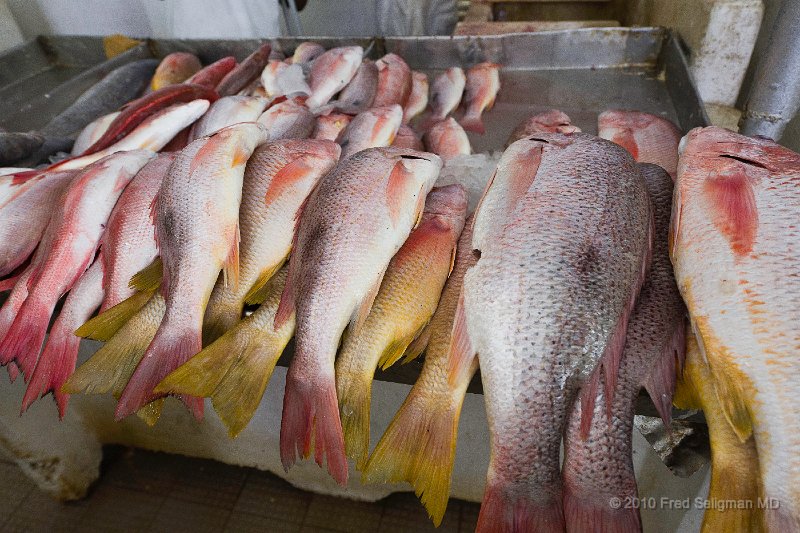 20101202_121505 D3S.jpg - Public Market, Panama City, Panama